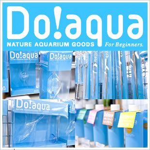 Do! aqua製品コーナー